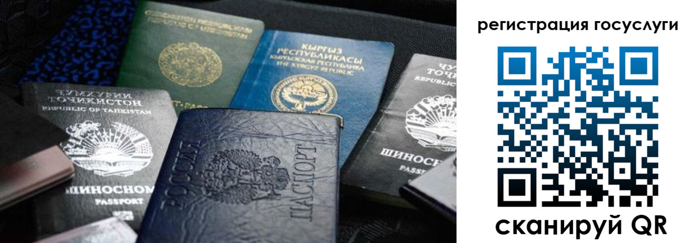 прописка ребенка в Удомле